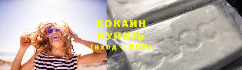 Cocaine Fish Scale  где купить   Дмитриев 